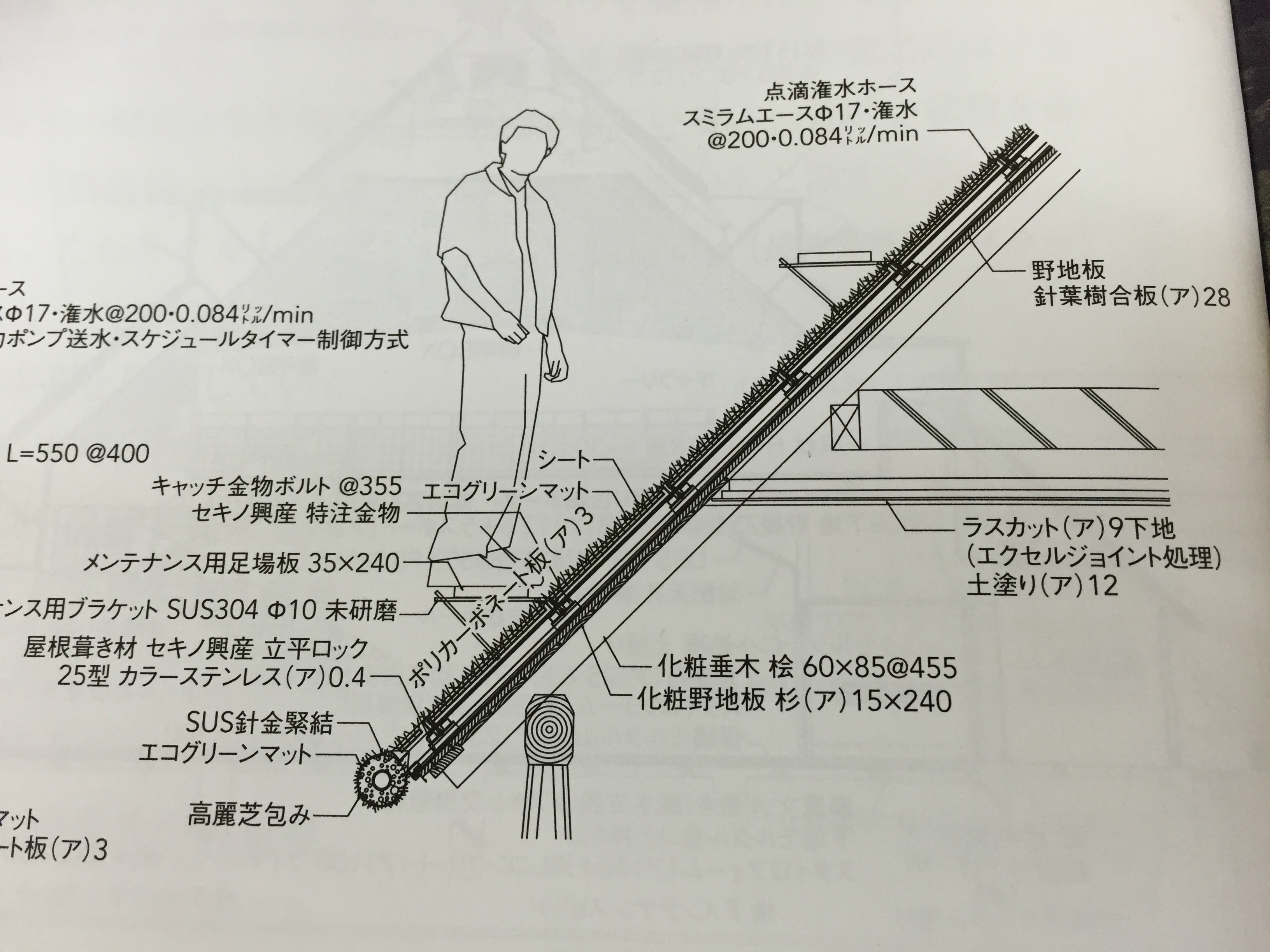 ファイル 1131-3.jpg