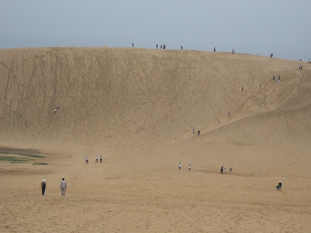 ファイル 325-1.jpg