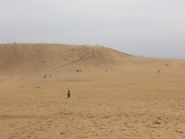 ファイル 326-1.jpg